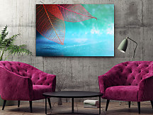 Obraz Farebné makro listy